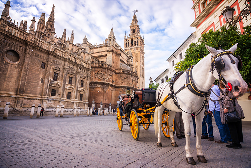 Visit-Cathedral-Giralda-Seville-Spain