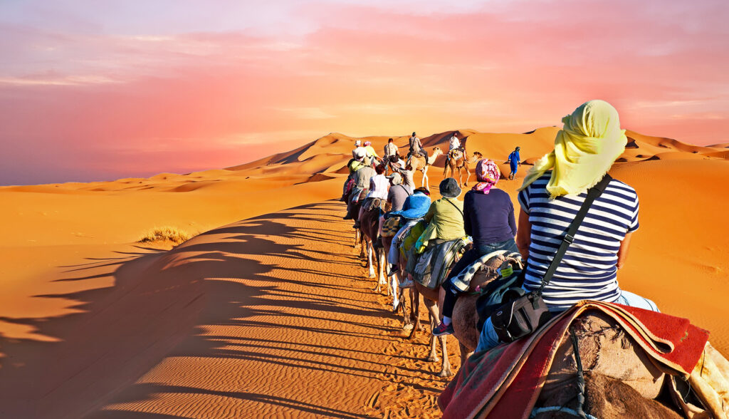 camelos no deserto