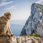 Visita a Gibraltar