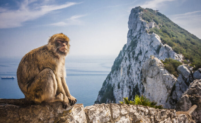 Visita a Gibraltar