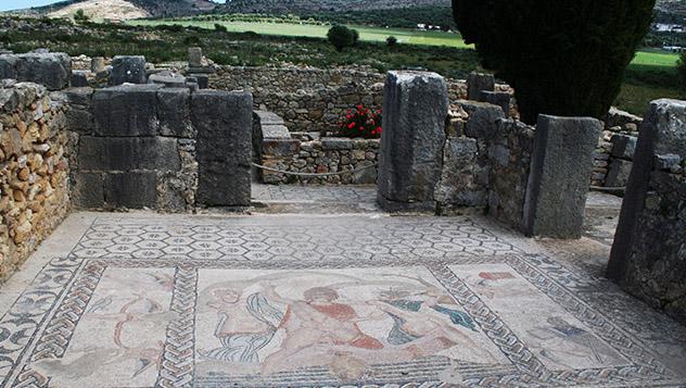 Mosaico en Volubilis