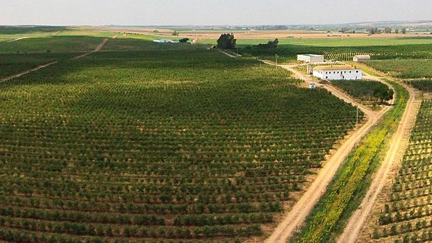 Cortijo El Puerto