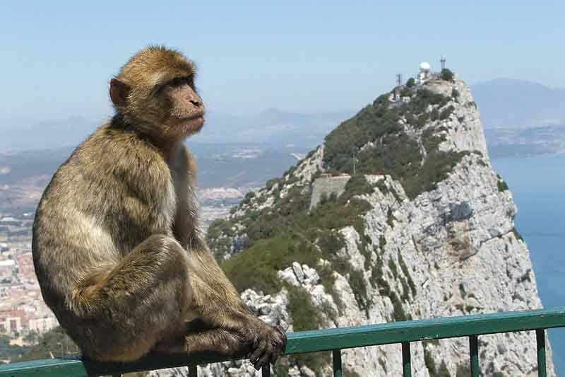 Penon de Gibraltar