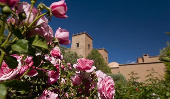 castillo valle Kelaa Mgouna