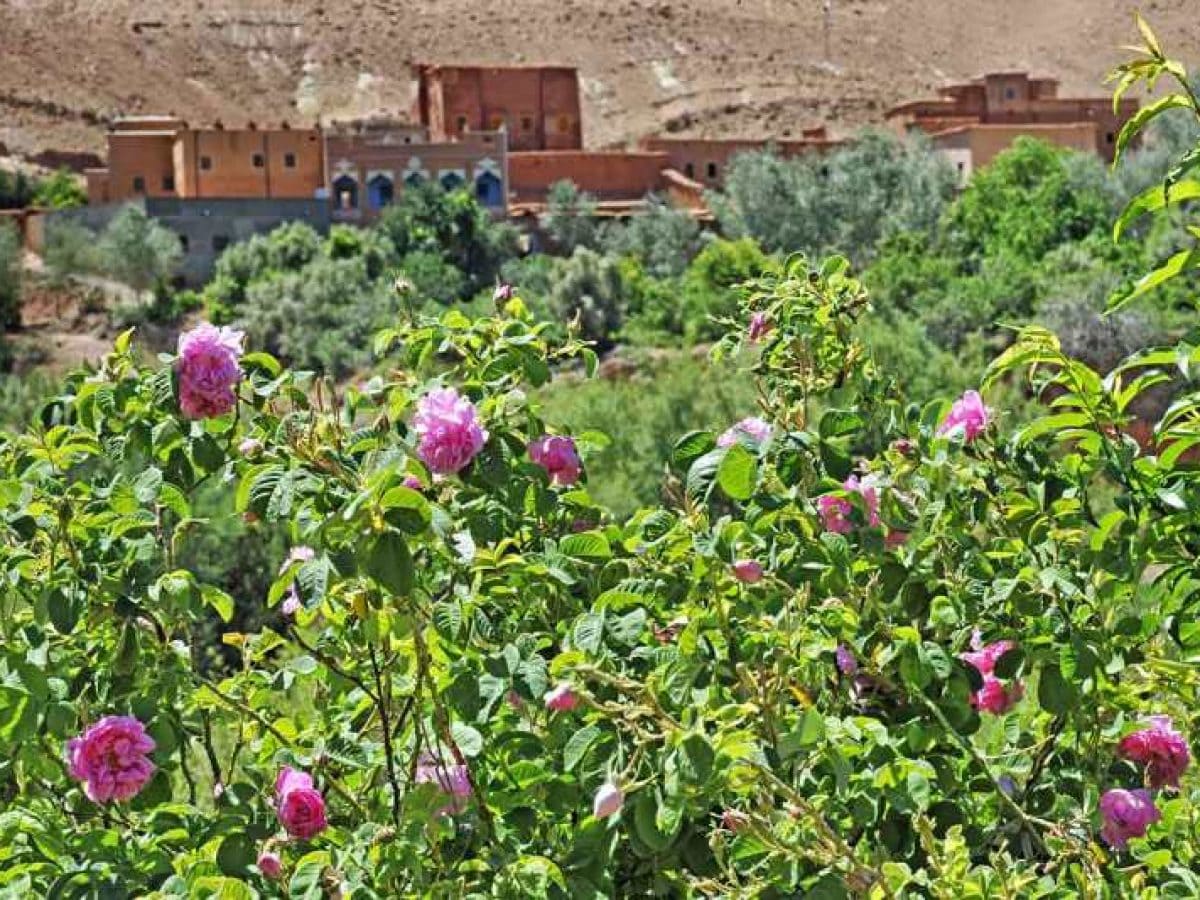 pueblo de las rosas Marruecos