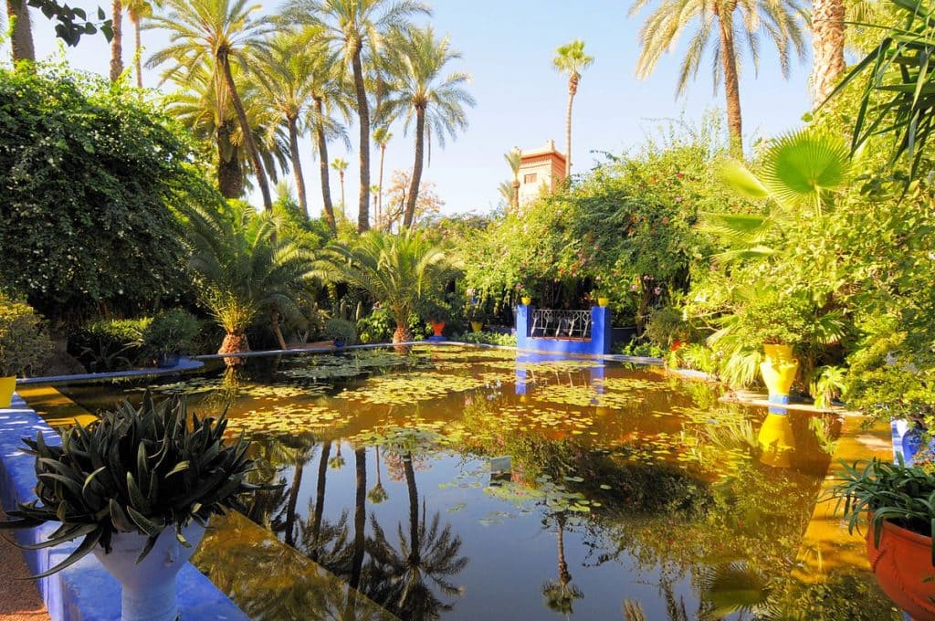 lago Jardin Majorelle